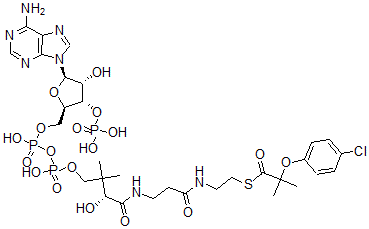 CAS#: 104732-21-0， Clofibric Acid-Coenzyme A