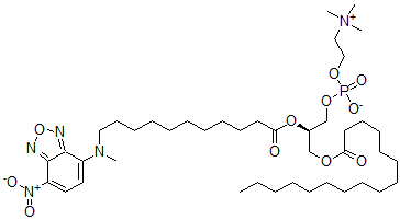 CAS#: 108535-67-7， [(2R)-3-Hexadecanoyloxy-2-[11-[Methyl-(4-Nitro-2,1,3-Benzoxadiazol-7-Yl)Amino]Undecanoyloxy]Propyl] 2-Trimethylazaniumylethyl Phosphate