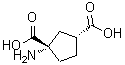 CAS#: 111900-31-3， (1S,3R)-1-Amino-1,3-Cyclopentanedicarboxylic Acid