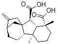 CAS#: 1164-45-0， (1R,2S,3S,4R,8S,9S,12R)-4,8-Dimethyl-13-Methylidenetetracyclo[10.2.1.0(1,9).0(3,8)]Pentadecane-2,4-Dicarboxylic Acid