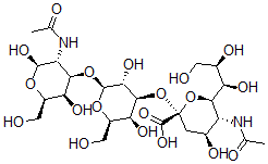 CAS#: 117773-04-3， (2S,4S,5R,6R)-5-Acetamido-2-[(2R,3R,4S,5S,6R)-2-[(2R,3R,4R,5R,6R)-3-Acetamido-2,5-Dihydroxy-6-(Hydroxymethyl)Oxan-4-Yl]Oxy-3,5-Dihydroxy-6-(Hydroxymethyl)Oxan-4-Yl]Oxy-4-Hydroxy-6-[(1R,2R)-1,2,3-Trihydroxypropyl]Oxane-2-Carboxylic Acid