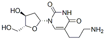 CAS#: 118573-62-9， 5-(3-Aminopropyl)-2'-Deoxyuridine