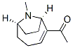 CAS#: 120786-68-7， N-Methylanatoxin