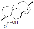 CAS#: 120852-64-4， (4beta,8beta,13beta)-13-methyl-17-Norkaur-15-en-18-oic acid