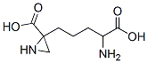 CAS#: 125509-89-9， 2-(4-Amino-5-Hydroxy-5-Oxopentyl)Aziridine-2-Carboxylic Acid
