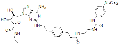 CAS#: 129666-43-9， (2S,3S,4R,5R)-5-[6-Amino-2-[2-[4-[3-[2-[(4-Isothiocyanatophenyl)Carbamothioylamino]Ethylamino]-3-Oxopropyl]Phenyl]Ethylamino]Purin-9-Yl]-N-Ethyl-3,4-Dihydroxyoxolane-2-Carboxamide