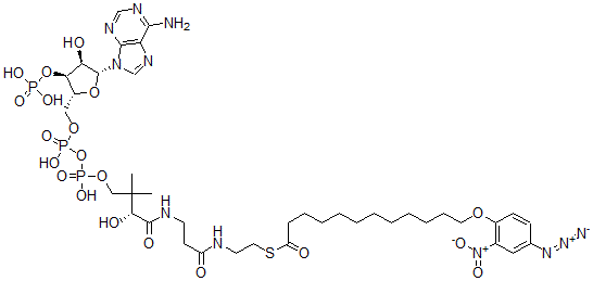 CAS#: 130766-07-3， 12-(4'-Azido-2'-nitrophenoxy)dodecanoyl-coenzyme A