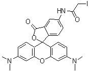 structure of CAS# 136538-85-7, N-[3',6'-Bis(Dimethylamino)-3-Oxo-3H-Spiro[2-Benzofuran-1,9'-Xanthen]-5-Yl]-2-Iodoacetamide;5(6)-Iodoacetamidotetramethylrhodamine;6-IATR;IATR
