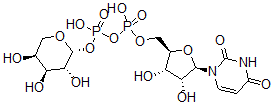 CAS#: 15839-78-8， Udp-L-Arabinose
