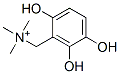CAS#: 159662-73-4， Trimethyl-[(2,3,6-Trihydroxyphenyl)Methyl]Azanium Bromide