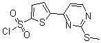 structure of CAS# 175202-76-3, 5-[2-(Methylthio)-4-Pyrimidinyl]-2-Thiophenesulfonylchloride;5-[2-(Methylthio)Pyrimidin-4-Yl]Thiophene-2-Sulfonyl Chloride, 95+%;5-[2-(METHYLTHIO)PYRIMIDIN-4-YL]THIOPHENE-2-SULPHONYL CHLORIDE;5-[2-(METHYLTHIO)PYRIMIDIN-4-YL]THIOPHENE-2-SULFONYL CHLORIDE