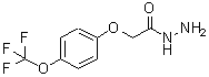 结构式 CAS# 175204-36-1, 2-[4-(三氟甲氧基)苯氧基]乙酰肼