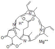 CAS 登录号：18433-30-2， 2,4-二乙烯基原叶绿素酯