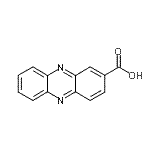 CAS#: 18450-16-3， 2-Phenazinecarboxylic Acid