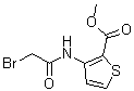 structure of CAS# 227958-47-6, Methyl 3-[(Bromoacetyl)Amino]-2-Thiophenecarboxylate;Methyl 3-[(2-bromoacetyl)amino]-thiophene-2-carboxylate;Methyl 3-[(2-bromoacetyl)amino]thiophene-2-carboxylate, tech;Methyl3-[(2-bromoacetyl)amino]thiophene-2-carboxylate