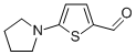 structure of CAS# 24372-47-2, 5-(1-Pyrrolidinyl)-2-Thiophenecarbaldehyde;5-1-Pyrrolidinyl-2-Thiophenecarboxaldehyde;Zinc03883724;2Z-0702