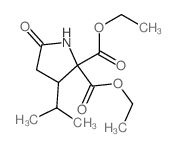 CAS#: 2445-91-2， Diethyl 5-Oxo-3-Propan-2-Ylpyrrolidine-2,2-Dicarboxylate