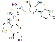 CAS 登录号：26575-17-7， 尿苷二磷酸酯 N-乙酰基甘露糖胺