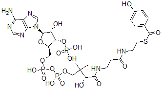 CAS#: 27718-41-8， 4-Hydroxybenzoyl-Coenzyme A