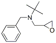 CAS 登录号：28026-69-9， N-叔-丁基-N-(2,3-环氧丙基)苄胺
