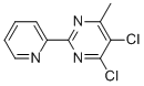 structure of CAS# 306935-55-7, 4,5-Dichloro-6-Methyl-2-(2-Pyridyl)Pyrimidine;PYRIMIDINE,4,5-DICHLORO-6-METHYL-2-(2-PYRIDINYL);4,5-DICHLORO-6-METHYL-2-(2-PYRIDINYL)PYRIMIDINE;4,5-DICHLORO-6-METHYL-2-(2-PYRIDYL)PYRIMIDINE