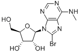 CAS#: 37116-71-5， 8-Bromo-N-Methyl-Adenosine