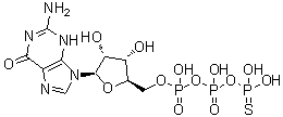 CAS#: 37589-80-3， Guanosine 5'-(tetrahydrogen 5-thiotriphosphate)