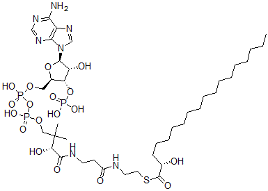 CAS#: 38861-93-7， S-[2-[3-[[(2R)-4-[[[(2R,3S,4R,5R)-5-(6-Aminopurin-9-Yl)-4-Hydroxy-3-Phosphonooxyoxolan-2-Yl]Methoxy-Hydroxyphosphoryl]Oxy-Hydroxyphosphoryl]Oxy-2-Hydroxy-3,3-Dimethylbutanoyl]Amino]Propanoylamino]Ethyl] (2S)-2-Hydroxyoctadecanethioate