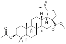 CAS#: 4356-30-3， Methyl 3b-Acetoxybetulinate