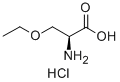 structure of CAS# 4775-82-0, (S)-2-Amino-3-Ethoxy-Propionic Acid Hydrochloride;(S)-2-AMINO-3-ETHOXY-PROPIONIC ACID HYDROCHLORIDE;O-Ethoxy-L-Serine Hydrochloride, 97%