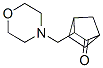 structure of CAS# 5025-07-0, 3-(Morpholinomethyl)-2-Norbornanone;3-(Morpholinomethyl)Norbornan-2-One;3-(Morpholinomethyl)-2-Norbornanone;St5443640