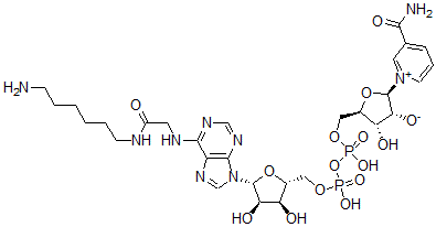 CAS#: 52213-58-8， Nicotinamide-N(6)-(N-(6-aminohexyl)carbamoylmethyl)adenine dinucleotide