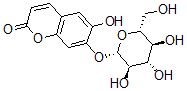 CAS 登录号：531-58-8， 菊苣甙