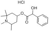 结构式 CAS# 536-93-6, 盐酸尤卡托品