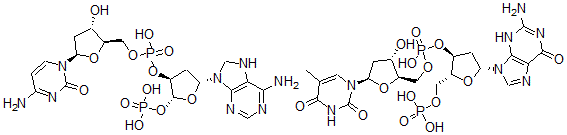 CAS#: 57683-27-9， Thymidylyl-(5'-3')-2'-deoxy-5'-Guanylic acid complex with 2'-deoxycytidylyl-(5'-3')-2'-deoxy-5'-adenylic acid
