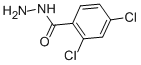 structure of CAS# 5814-06-2, 2,4-Dichlorobenzhydrazide;Sr-01000642942-1;Ag-205/15424553;A1029/0048217