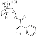 structure of CAS# 5934-50-9, Hyoscyamine Hydrochloride;(8-Methyl-8-Azabicyclo[3.2.1]Octan-3-Yl) (2S)-3-Hydroxy-2-Phenyl-Propanoate Hydrochloride;(2S)-3-Hydroxy-2-Phenylpropanoic Acid (8-Methyl-8-Azabicyclo[3.2.1]Octan-3-Yl) Ester Hydrochloride;(2S)-3-Hydroxy-2-Phenyl-Propionic Acid (8-Methyl-8-Azabicyclo[3.2.1]Octan-3-Yl) Ester Hydrochloride