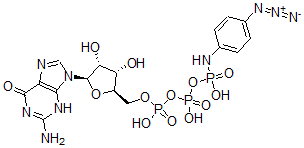 CAS#: 60869-76-3， GTP gamma-4-Azidoanilide