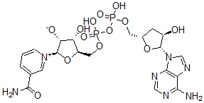 CAS#: 60902-13-8， 3'-Deoxynicotinamide Adenine Dinucleotide