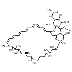 CAS#: 62008-36-0， Methyl 33-[(3-Acetamido-3,6-Dideoxyhexopyranosyl)Oxy]-1,3,5,6,9,11,17,37-Octahydroxy-15,16,18-Trimethyl-13-Oxo-14,39-Dioxabicyclo[33.3.1]Nonatriaconta-19,21,23,25,27,29,31-Heptaene-36-Carboxylate