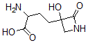 CAS#: 65709-93-5， Tabtoxinine beta-Lactam