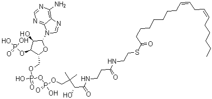 CAS#: 6709-57-5， Coenzyme A S-(9Z,12Z)-9,12-Octadecadienoate