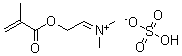 CAS#: 67939-26-8， (2-(Methacryloyloxy)Ethyl)Dimethylammonium Hydrogen Sulphate