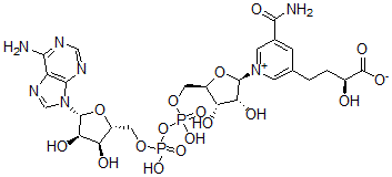 CAS#: 68889-85-0， 5-(3-Carboxy-3-Hydroxypropyl)Nicotinamide Adenine Dinucleotide