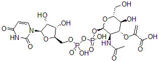 CAS#: 70222-94-5， Uridine diphospho-N-acetylglucosamine enolpyruvate