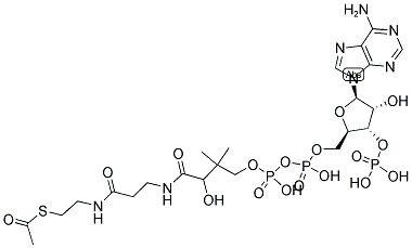 CAS 登录号：72-89-9， 乙酰基辅酶A三锂盐三水合物