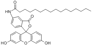 CAS#: 73024-80-3， 5-Hexadecanoylaminofluorescein
