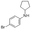 CAS 登录号：742677-14-1， N-环戊基-4-溴苯胺