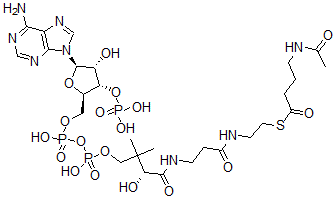 CAS#: 74833-91-3， S-[2-[3-[[(2R)-4-[[[(2R,3S,4R,5R)-5-(6-Aminopurin-9-Yl)-4-Hydroxy-3-Phosphonooxyoxolan-2-Yl]Methoxy-Hydroxyphosphoryl]Oxy-Hydroxyphosphoryl]Oxy-2-Hydroxy-3,3-Dimethylbutanoyl]Amino]Propanoylamino]Ethyl] 4-Acetamidobutanethioate