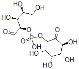 CAS#: 77193-03-4， [(3S,4R,5R)-3,4,5,6-Tetrahydroxy-2-Oxohexyl] [(2R,3S,4S)-3,4,5-Trihydroxy-1-Oxopentan-2-Yl] Hydrogen Phosphate